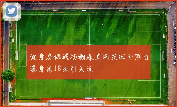 健身房偶遇杨瀚森某网友晒合照自曝身高18米引关注