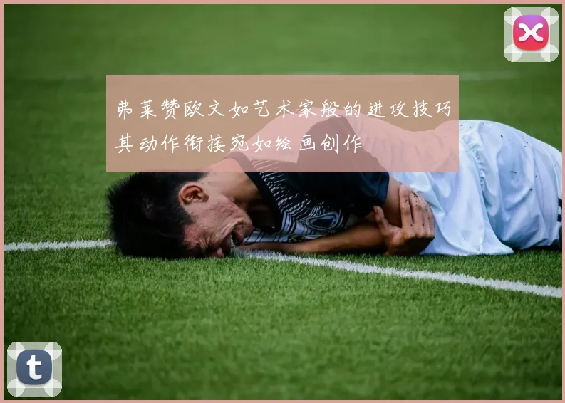 弗莱赞欧文如艺术家般的进攻技巧其动作衔接宛如绘画创作